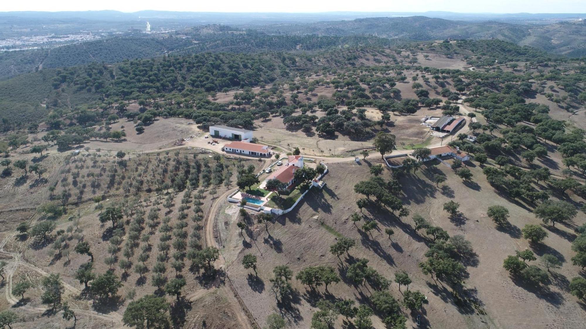 Herdade Vale de Cabras Portel Buitenkant foto