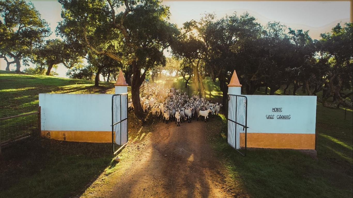 Herdade Vale de Cabras Portel Buitenkant foto